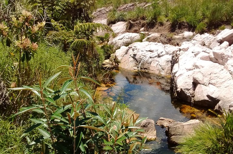 nascente-do-rio-sao-francisco_001